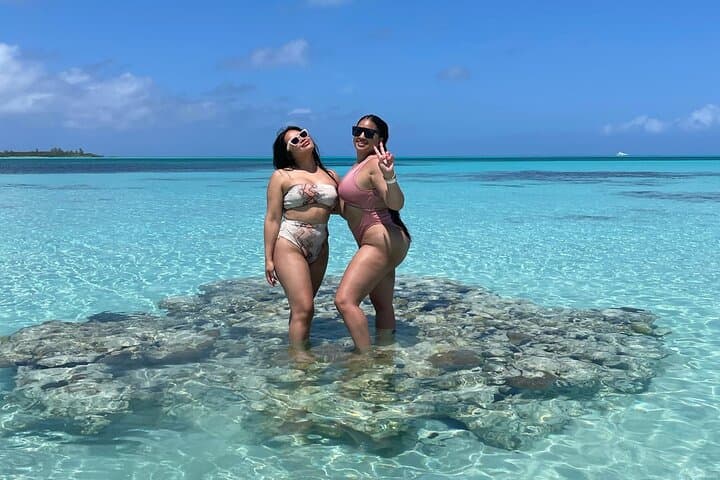 Turtle Swim and Rose Island Snorkel Adventure from Nassau photo 3