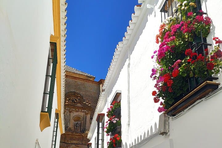 Private Day Trip to Carmona from Seville — 5,000 Years of History photo 5