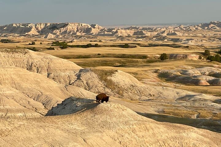 Badlands Sunset & Night Sky Wildlife Tour — Evening Views & Stargazing photo 6