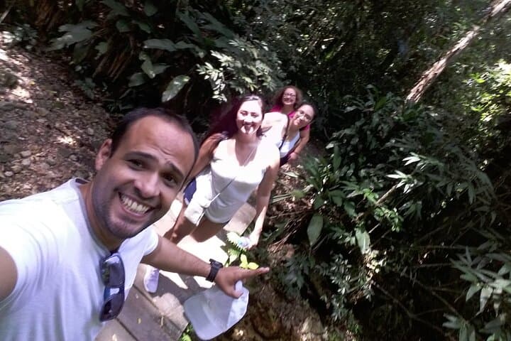 Tijuca Forest & Rio Views: Private Tour from Copacabana photo 4