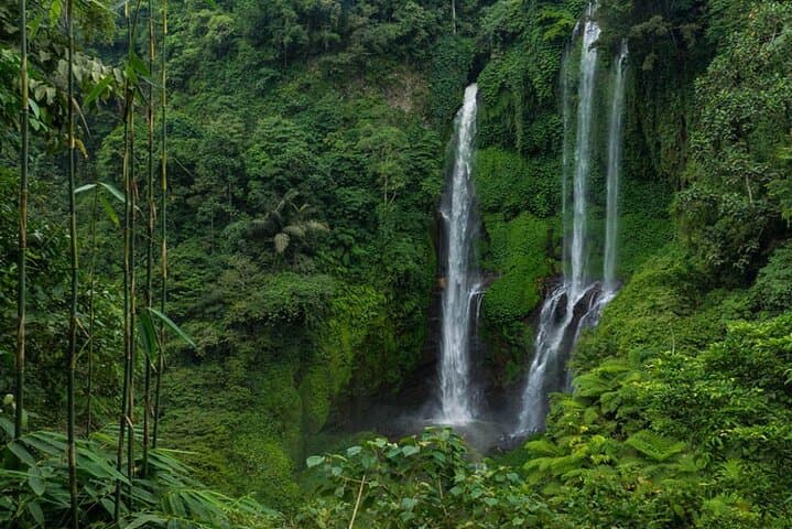 Sekumpul & Hidden Waterfalls Trek — Bali Waterfall Tour from Singaraja photo 2