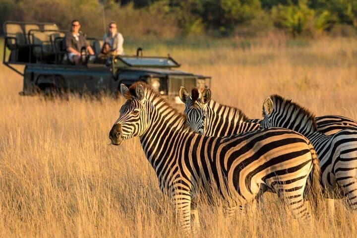 Kruger National Park 4-Day Full-Board Safari from Johannesburg: Big 5 Game Drives & Hazyview Culture photo 6