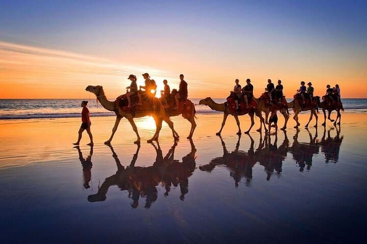 Agadir Sunset Camel Ride: Eucalyptus Forests & Souss River Estuary