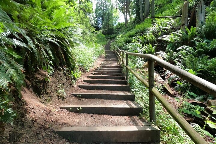 Vancouver Stair-Master Beach Workout: 500 Steps & Coastal Walk photo 2