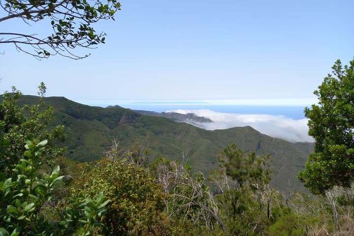 Masca From Above: Tenerife Ridge Hike with Laurel Forest & Teide Views photo 6