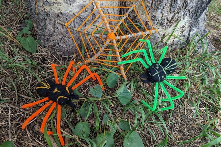 Make Felted Halloween Spiders in Estes Park — Needle-Felting Class