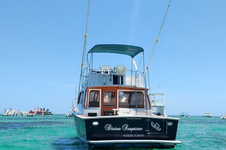 Deep-Sea Fishing Off Punta Cana: 5-Hour Charter for Marlin, Dorado & Tuna photo 4