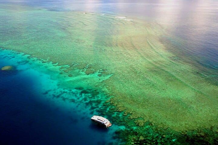 Premium Guided Dive Trip to the Outer Great Barrier Reef from Port Douglas photo 6