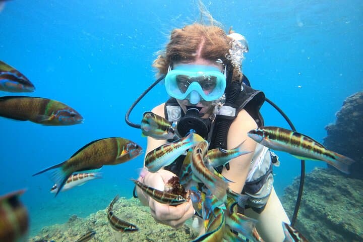 Half-Day Scuba Diving at Duden Waterfalls, Antalya — Boat Dive & Sea View