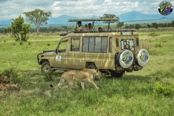 Mikumi Two-Day Game Drive & Guided Walking Safari photo 4