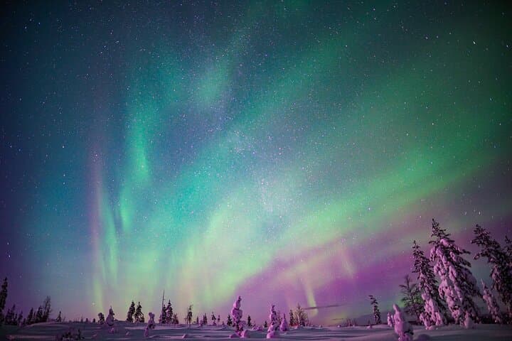Northern Lights Snowmobile Tour in Rovaniemi: Arctic Night Ride & Campfire photo 5