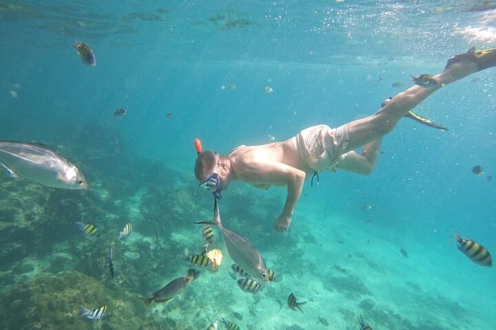 Phi Phi Islands Sunrise Speedboat Tour with Seaview Lunch and Snorkeling photo 3