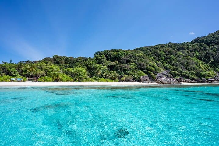 Similan Islands One-Day Speedboat Tour from Phuket — Snorkel, Viewpoints & Thai Lunch photo 6