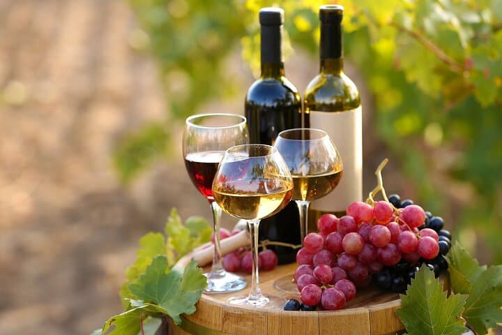Private Luxury Arrábida Wine Tour and Bacalhôa Palace Experience