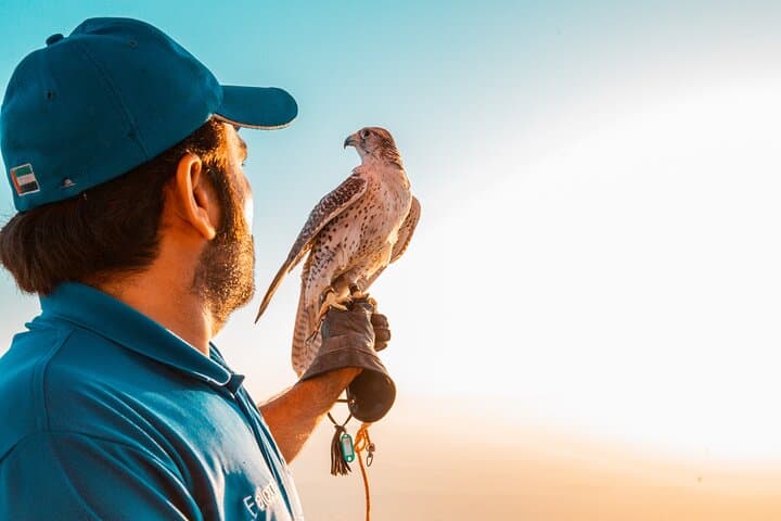 Sunrise Hot Air Balloon Over Dubai Desert: Private 5-Hour Experience photo 3