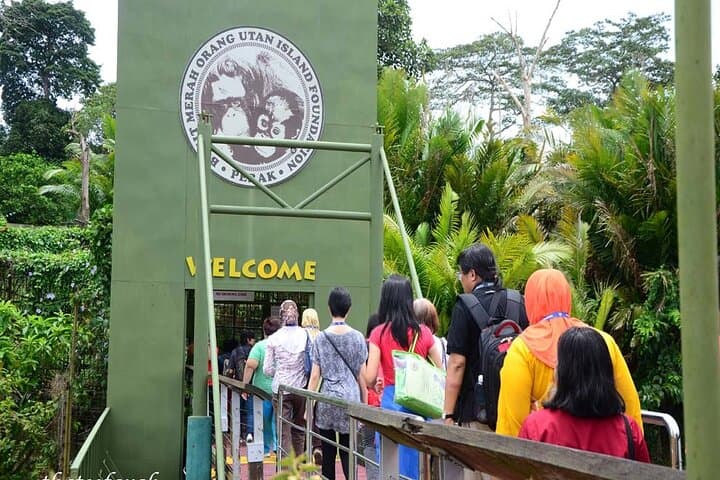 Orang Utan Island Day Tour — Bukit Merah Orangutan Sanctuary from Kuala Lumpur photo 3
