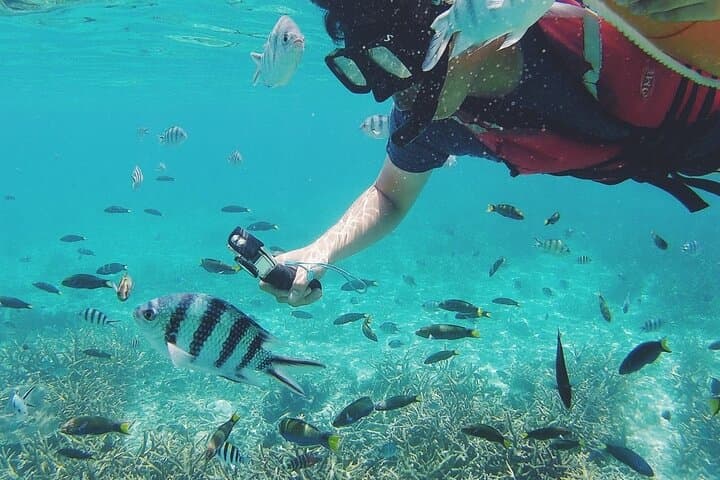 Tioman Island: 3-Day Snorkel & Beach Escape from Singapore photo 3