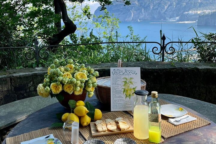 Sorrento Lemon Grove Tour: History, Tasting & Limoncello on the Peninsula
