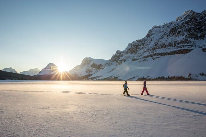 Icefields Parkway Winter Day Trip: Abraham Lake Ice Bubbles & Peyto Viewpoint photo 6