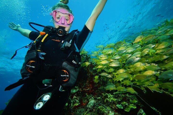Two Reefs Certified Dives in Cancun: Punta Negra & Grampin Reefs