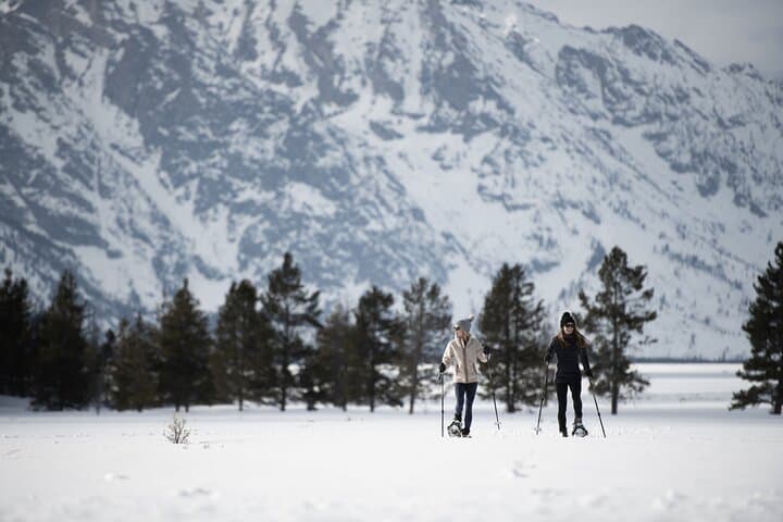 4-Hour Guided Snowshoe in Grand Teton National Park photo 3