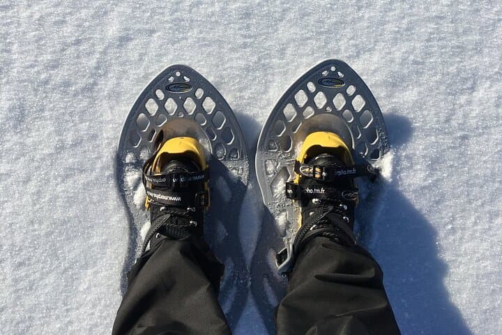 Inari Winter Trek: Snowshoe & Forest Ski Day Hike in Lapland photo 4