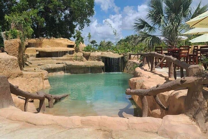 Thrilling Macao Buggies Adventure - Explore Punta Cana’s Wild Side photo 5