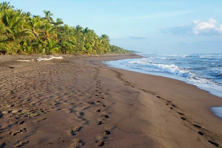 Tortuguero National Park: Self-Guided Admission to Costa Rica’s Canal Wilderness photo 3