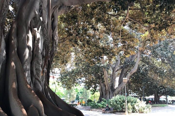 Three Parks of Valencia: Private Bike, E-Bike, E-Step & Segway Tour Through the Turia Gardens photo 5