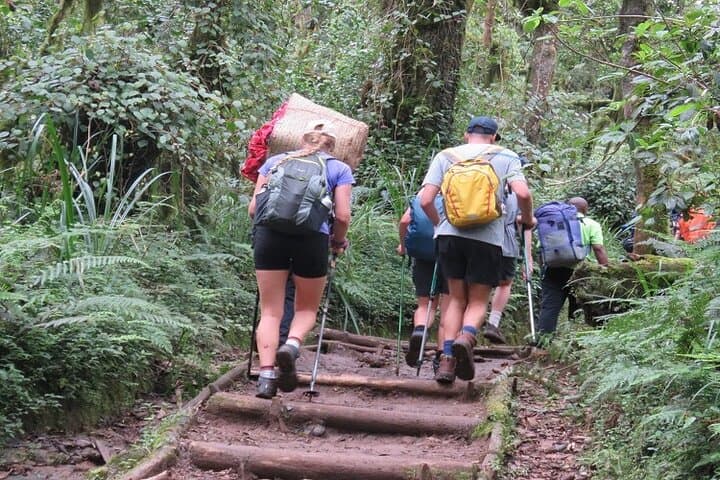 Machame Route Kilimanjaro 6-7 Day Trek: Complete Guide to Summit via Whiskey Route photo 3