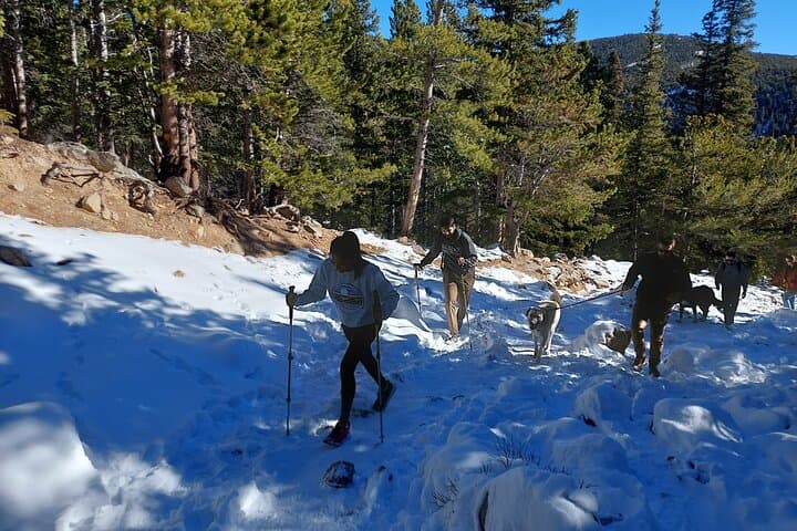 Half-Day Guided Hike to Glacier Lake from Denver: Short Alpine Lake Trek photo 4