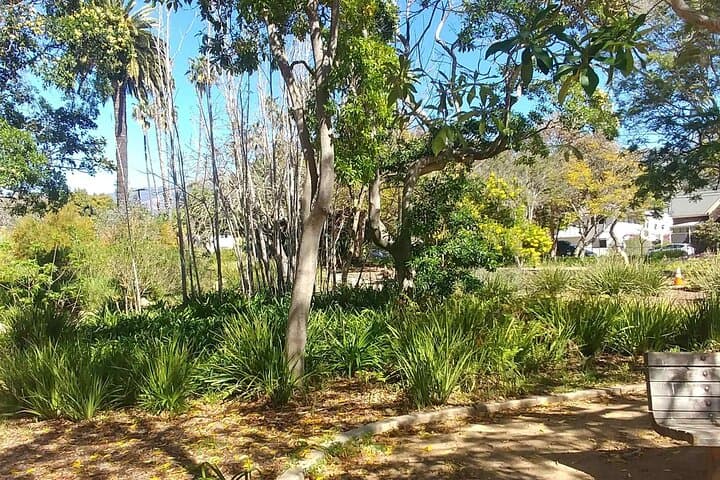Santa Barbara Self-Guided Urban Stroll: GPS Audio Tour of Downtown & Stearns Wharf photo 5