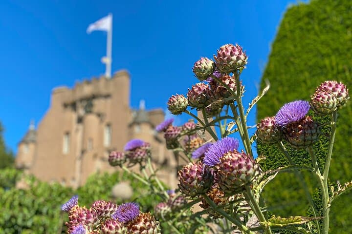 Aberdeen Transfer and Private Guided Tour: Castles, Coast & Distilleries