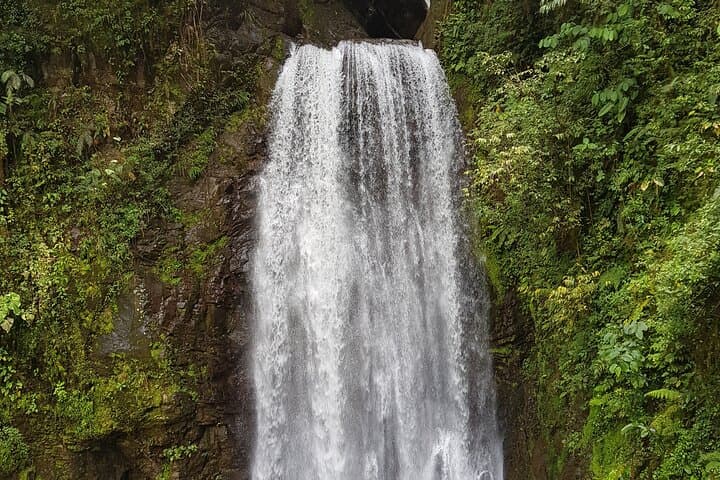 El Tigre Waterfalls Hike: Monteverde Cloud Forest Day Trek with Lunch