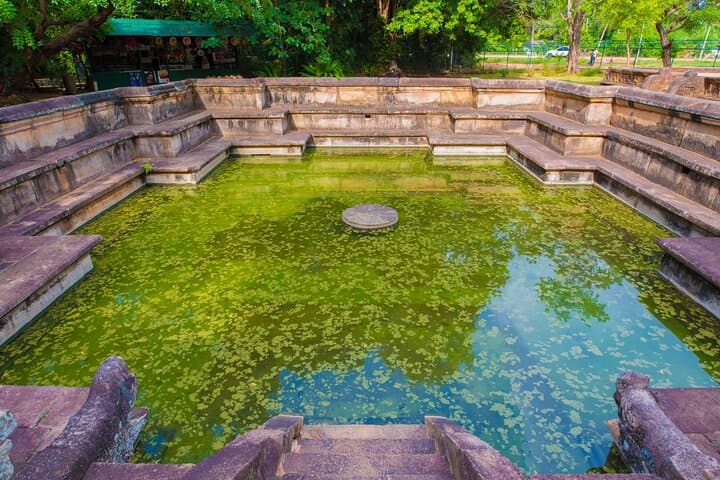 Day Trip to Polonnaruwa: Private Guided Tour from Colombo to the Ancient City photo 4