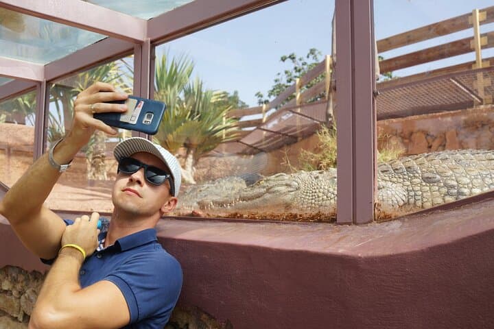 Inside Agadir’s Crocoparc: Up-Close Nile Crocodiles & Jungle Gardens photo 6