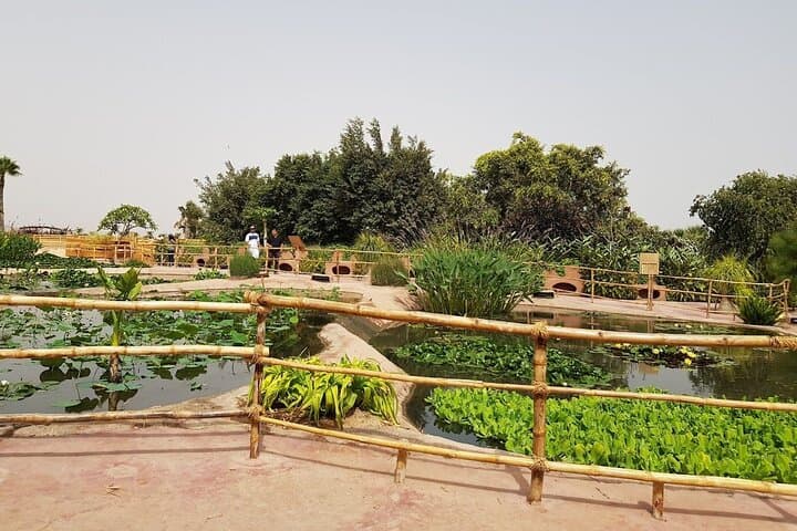 Inside Agadir’s Crocoparc: Up-Close Nile Crocodiles & Jungle Gardens photo 4