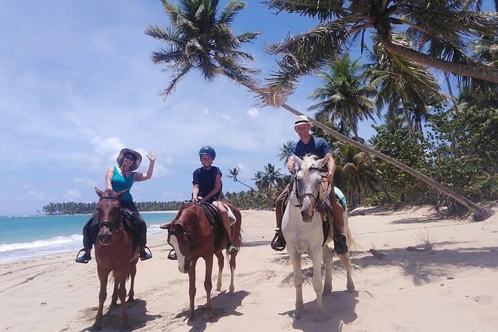 Horseback Riding on Macao Beach, Punta Cana — Sunset and Ranch Tour photo 3