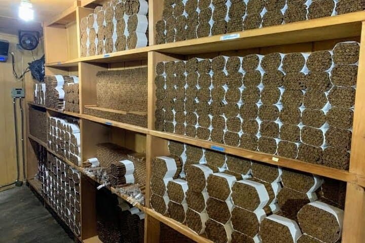 Inside Don Lucas: Punta Cana Cigar Factory Tour & Premium Rum Tasting photo 4