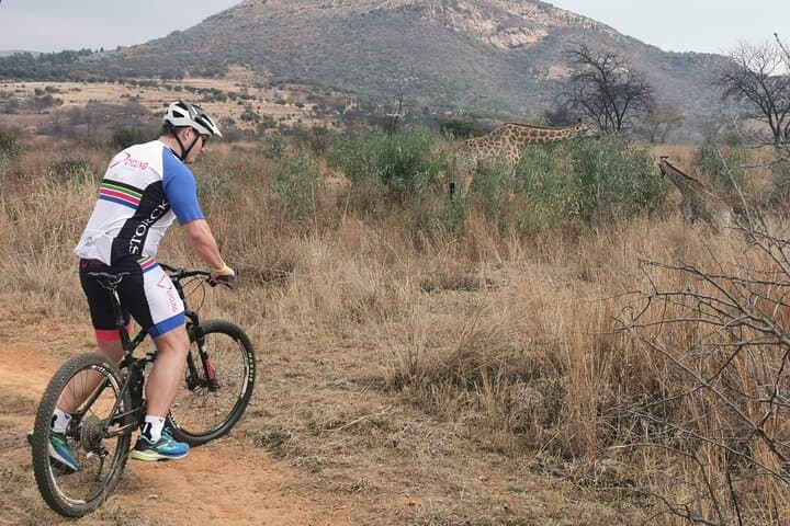 Private Guided Mountain Biking near Pretoria: Forest Tracks & Tailored Rides photo 2