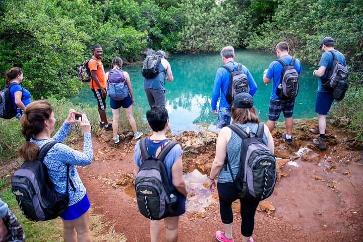 Bermuda Hidden Gems: Half-Day Winter Cave and Southlands Excursion