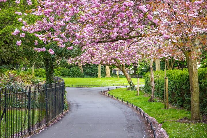 Cupid's Trail: Romantic Puzzle Quest Through Dublin photo 5