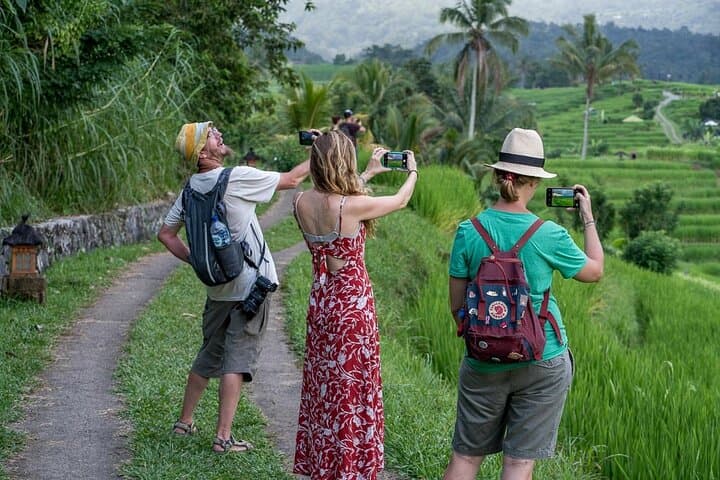 Bakas Village Balinese Cooking Class — Market, Rice-Field Walk & Melangit Swing photo 2