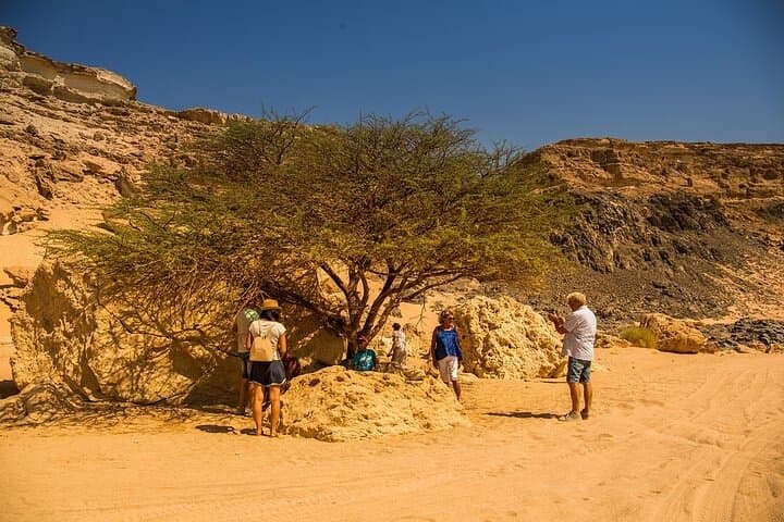 White Desert & Bahariya Oasis: 2-Day Safari from Cairo photo 2