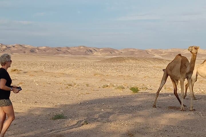 White Desert & Bahariya Oasis: 2-Day Safari from Cairo photo 4
