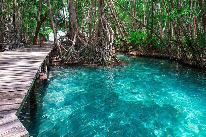 Celestún Mangrove & Flamingo Boat Tour from Mérida — Day Trip to Yucatán’s Pink Flats photo 2