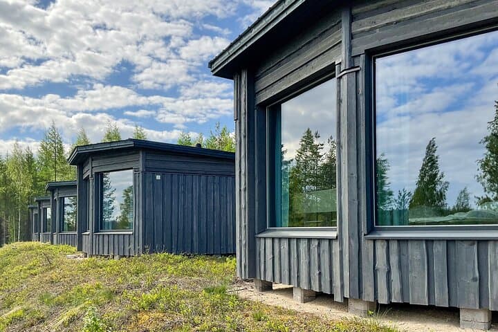 Luxury Bear-Watching Cabin in Finland: Close-Up Wildlife Hides and Wilderness Comfort photo 6
