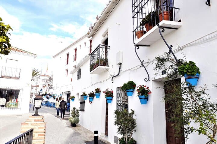Private Tour from Málaga: Gibraltar & Mijas Day Trip photo 2