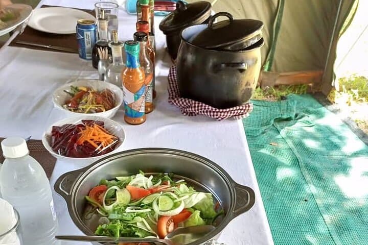 8-Day Moremi & Chobe Mobile Safari with Mokoro and Boat Cruises photo 6