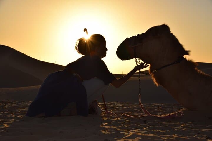 Camel Trekking in Abu Dhabi Desert: 30-Minute Camel Ride & Cultural Experience photo 2